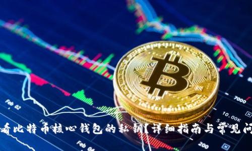 如何查看比特币核心钱包的私钥？详细指南与常见问题解答