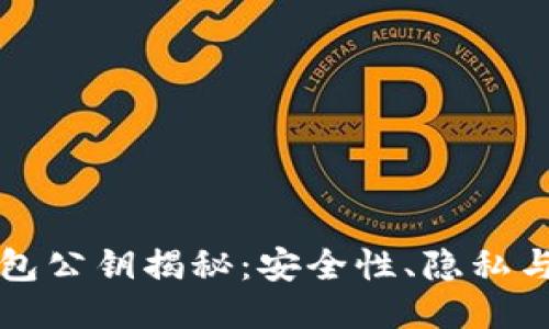 比特币钱包公钥揭秘:安全性、隐私与使用指南