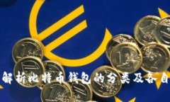 全面解析比特币钱包的分类及各自特点