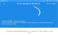MATIC转钱包的完整指南:快速、安全的加密货币