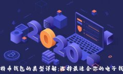 比特币钱包的类型详解:选择最适合你的电子钱