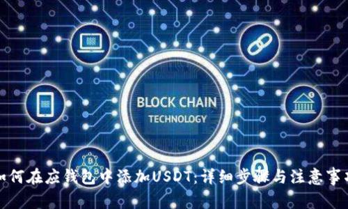 如何在应钱包中添加USDT:详细步骤与注意事项