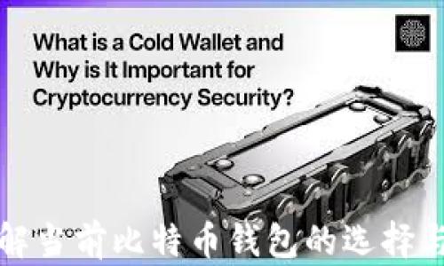深入了解当前比特币钱包的选择与安全性