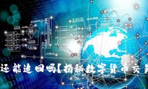 USDT转账到假钱包还能追回吗?揭秘数字货币交易的风险与应对策略