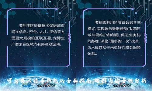 可交易比特币钱包的全面指南:选择与安全性分析