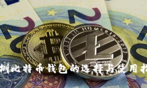深圳比特币钱包的选择与使用指南