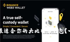 如何选择最适合你的大比特币钱包?一站式指南