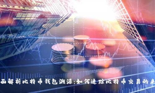 全面解析比特币钱包溯源：如何追踪比特币交易的来源