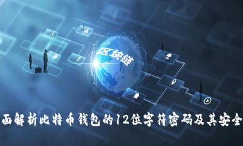 全面解析比特币钱包的12位字符密码及其安全性