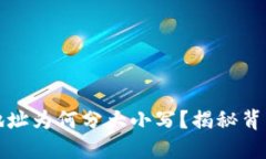 比特币钱包地址为何分大小写?揭秘背后的技术