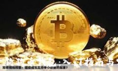 如何打开狗狗币钱包:入门指南与实用技巧