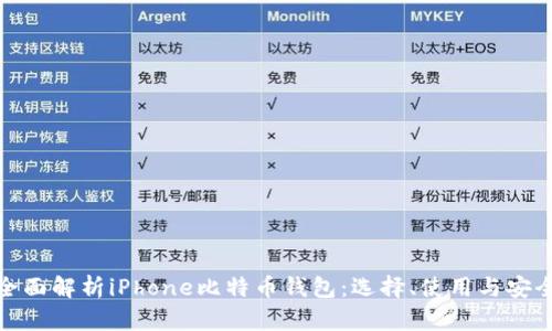 全面解析iPhone比特币钱包:选择、使用与安全