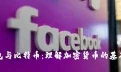 数字钱包与比特币：理解加密货币的基础与未来