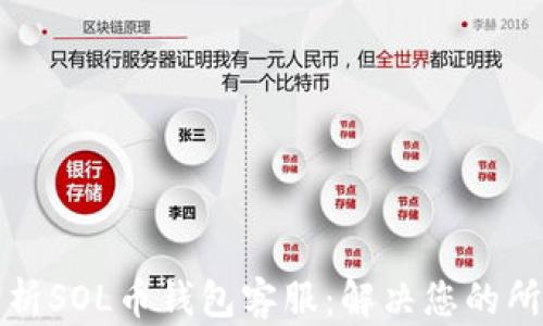 全面解析SOL币钱包客服:解决您的所有疑问