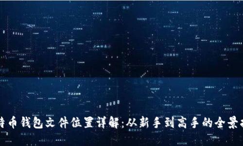 比特币钱包文件位置详解:从新手到高手的全景指南