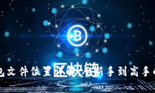 比特币钱包文件位置详解:从新手到高手的全景指南