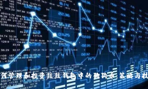 如何管理和投资鼓鼓钱包中的狗狗币：策略与技巧