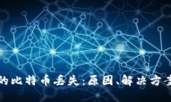 麦子钱包中的比特币丢失：原因、解决方案及预