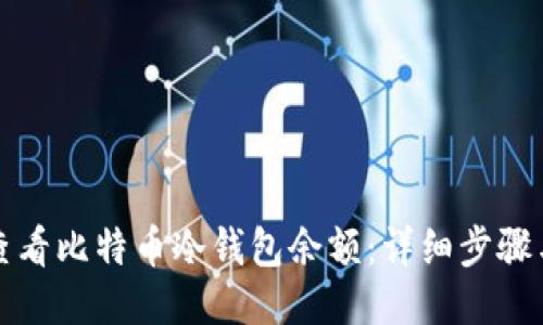 如何查看比特币冷钱包余额：详细步骤与技巧