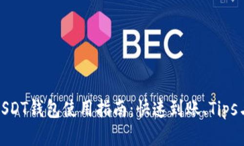 最全面的USDT钱包使用指南：快速到账、Tips与安全策略