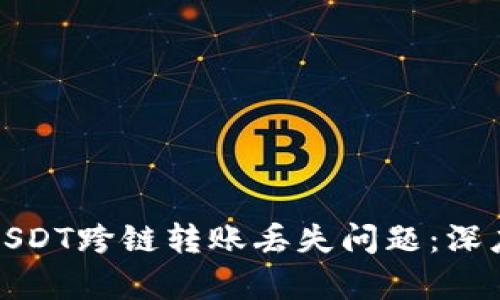 如何解决TP钱包USDT跨链转账丢失问题:深度解析与预防措施
