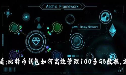 2025必看：比特币钱包如何高效管理100多GB数据，立即了解！