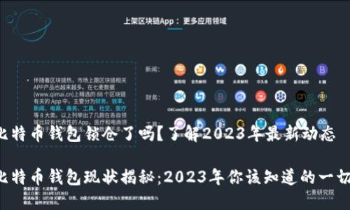 比特币钱包锁仓了吗？了解2023年最新动态

比特币钱包现状揭秘：2023年你该知道的一切！