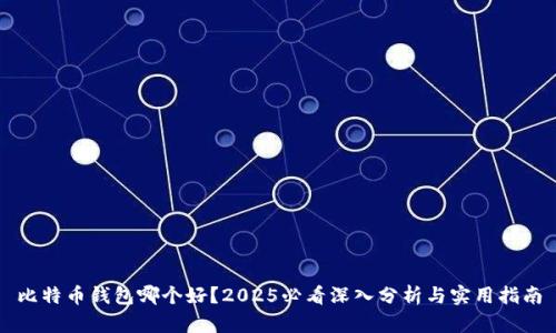 比特币钱包哪个好？2025必看深入分析与实用指南