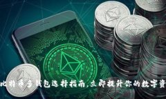 2025必看：比特币多钱包选择指南，立即提升你的