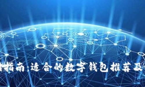 屎币存储指南：适合的数字钱包推荐及使用技巧