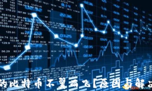 
比特币钱包里的比特币不翼而飞？原因与解决方案全面解析