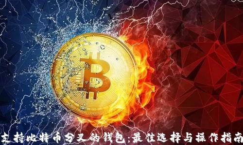 
支持比特币分叉的钱包：最佳选择与操作指南