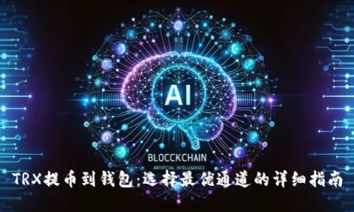 TRX提币到钱包：选择最优通道的详细指南