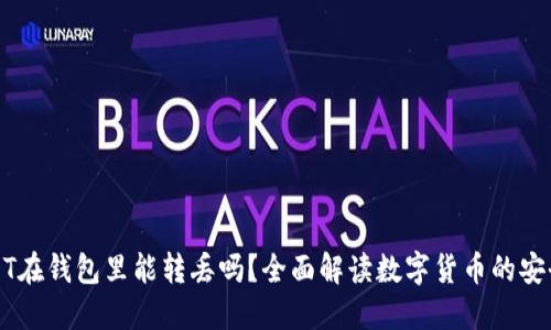 USDT在钱包里能转丢吗？全面解读数字货币的安全性