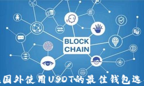 
在国外使用USDT的最佳钱包选择