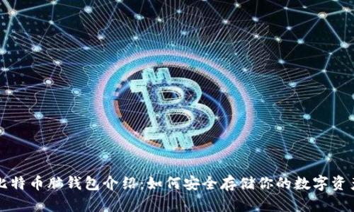 比特币脑钱包介绍：如何安全存储你的数字资产