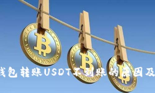  比特派钱包转账USDT不到账的原因及解决方案