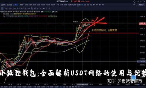 小狐狸钱包：全面解析USDT网络的使用与优势