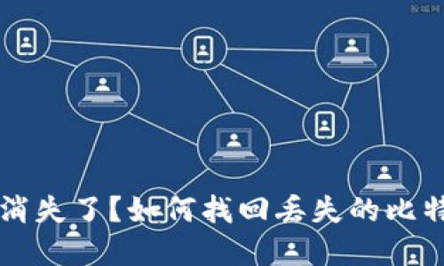 比特币钱包里的钱消失了？如何找回丢失的比特币和保护数字资产