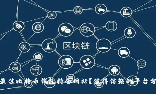 如何选择最佳比特币钱包持仓网站？值得信赖的平台分析与比较