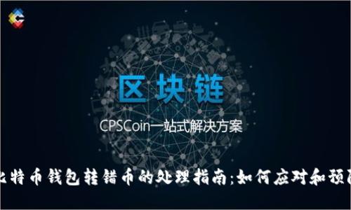 比特币钱包转错币的处理指南：如何应对和预防