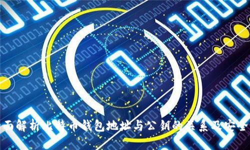 全面解析比特币钱包地址与公钥的关系及安全性
