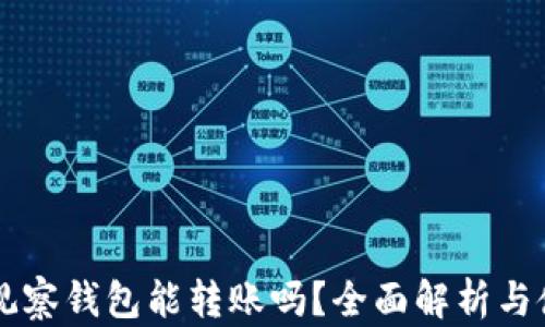 
以太坊观察钱包能转账吗？全面解析与使用指南