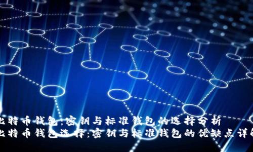 比特币钱包：密钥与标准钱包的选择分析  
比特币钱包选择：密钥与标准钱包的优缺点详解