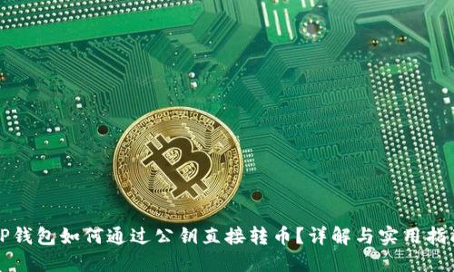 TP钱包如何通过公钥直接转币？详解与实用指南