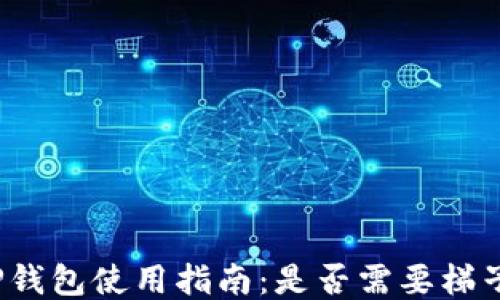 
TP钱包使用指南：是否需要梯子？