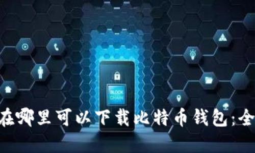 tiaoti在哪里可以下载比特币钱包：全面指南