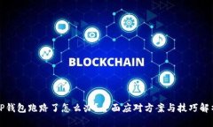 TP钱包跑路了怎么办？全面应对方案与技巧解析