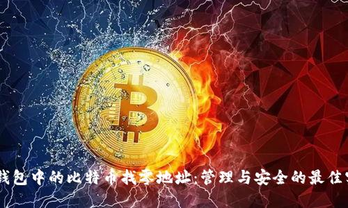 HD钱包中的比特币找零地址：管理与安全的最佳实践