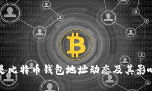 什么是比特币钱包地址动态及其影响分析